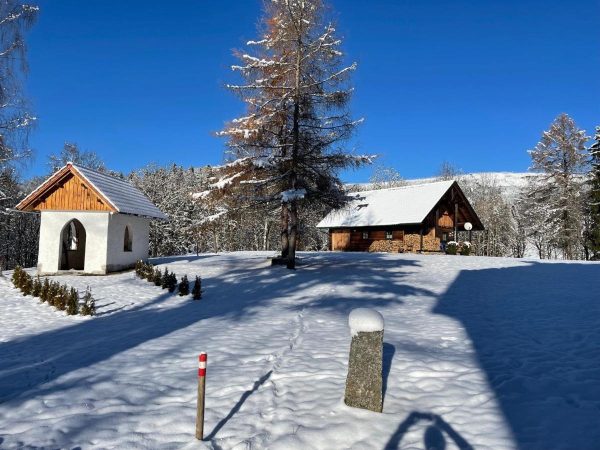 Berghuette, Chalet - Schwarzenberg Am Boehmerwald Schwarzenberg am Bohmerwald Eksteriør billede